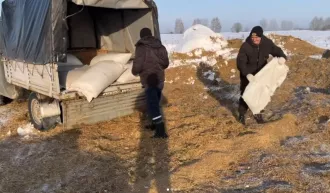 Работники Глушанского лесничества подкармливают диких животных