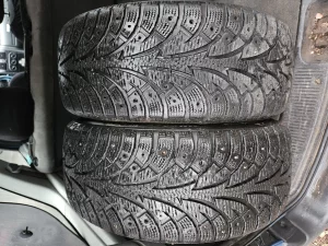 Пара зимы р17