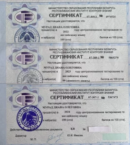 Английский для школьников / ЦТ/ЦЭ