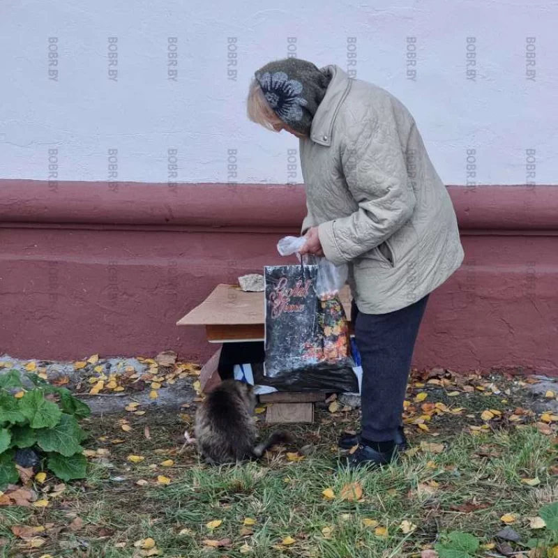 Кошкин дом