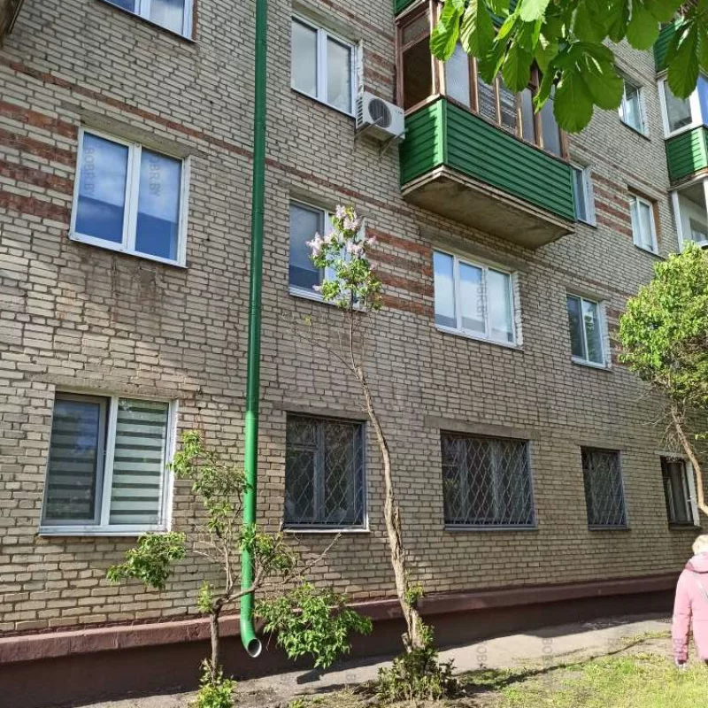 Бедная сирень хочет выжить...