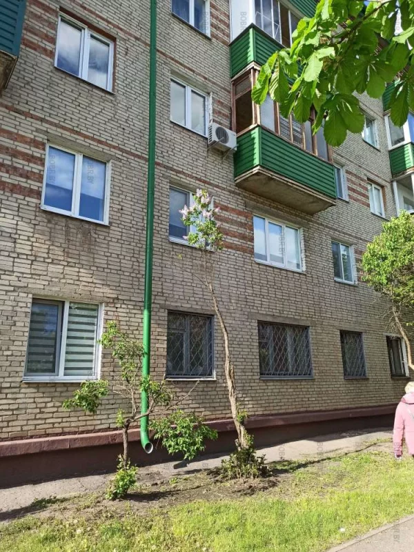 Бедная сирень хочет выжить...
