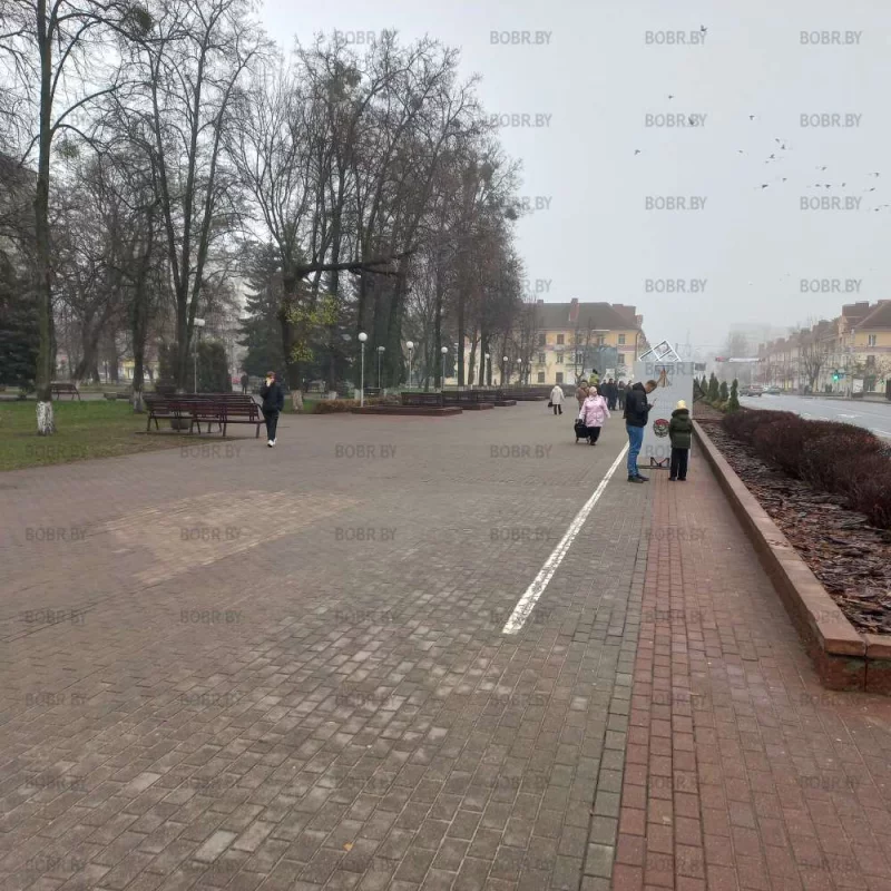 Теперь понятна "оперативность", с которой срубили деревья, и уложили плитку...