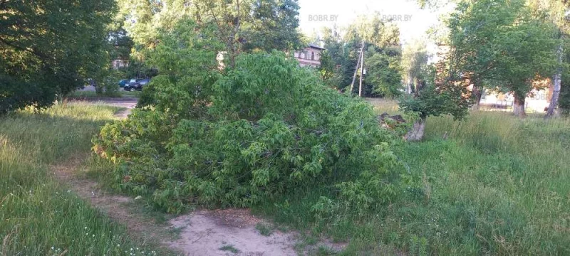 Где жкх??? Уже тропинку успели протоптать