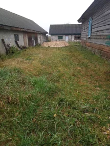 Дом с участком в д. Левковичи Кировского района Могилёвской обл