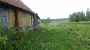 Дом в деревне Осередок, Осиповичского района