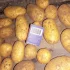 Картофель