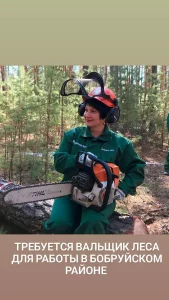 Вальщик леса