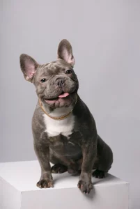 Ищем подружку