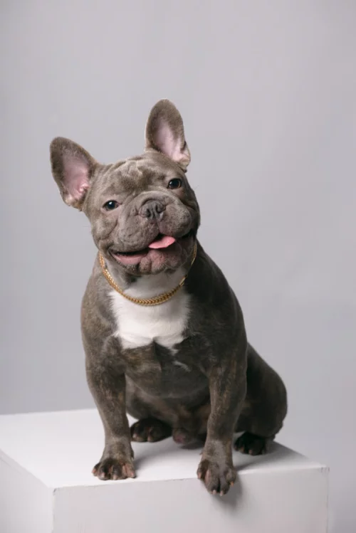 Ищем подружку