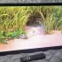 ЖК телевизор Philips 32"