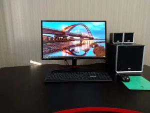 Игровой монитор LG 24MP59G-P 75Hz