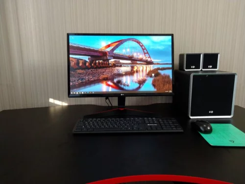 Игровой монитор LG 24MP59G-P 75Hz