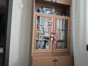Книжный шкаф