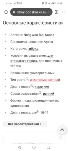 Огурцы рассада