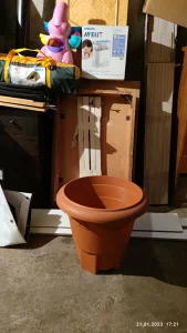 Декоративное дерево