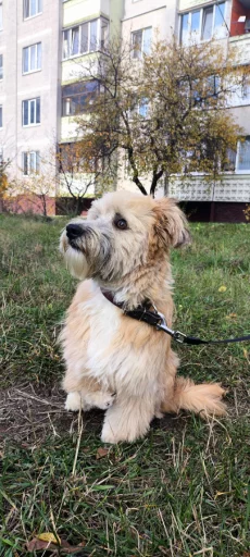 Особенный Джонни