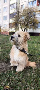 Особенный Джонни