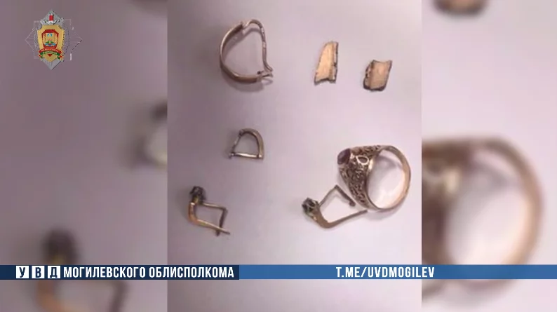 Бобруйчанин украл у матери золотые украшения на 12 000 рублей