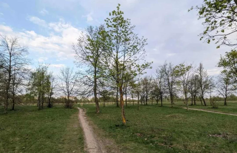 Погода на 16 апреля в Могилевской области