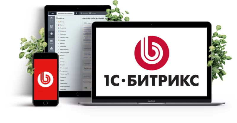 Преимущества интернет-магазина на 1С-Битрикс