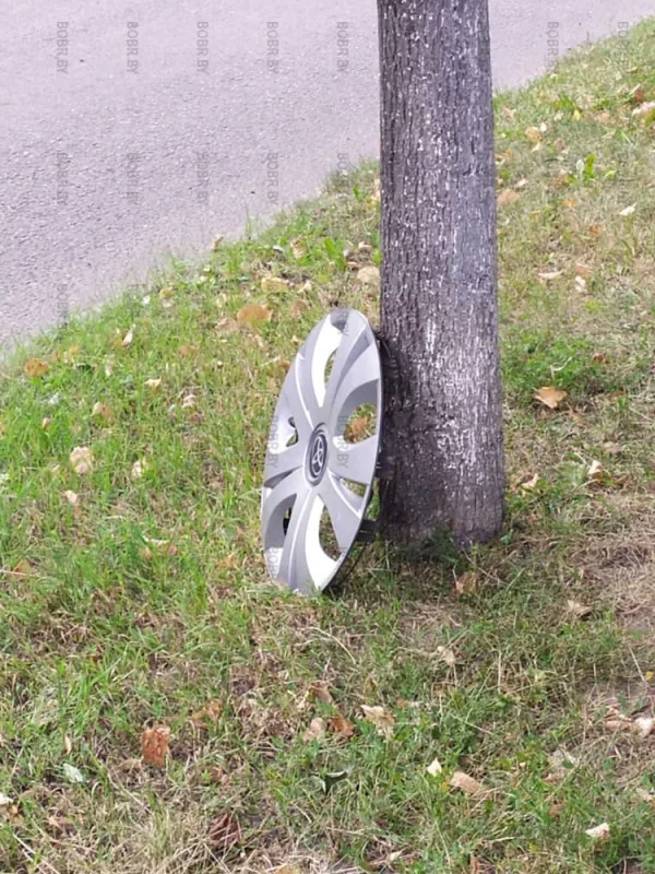 Утеря
