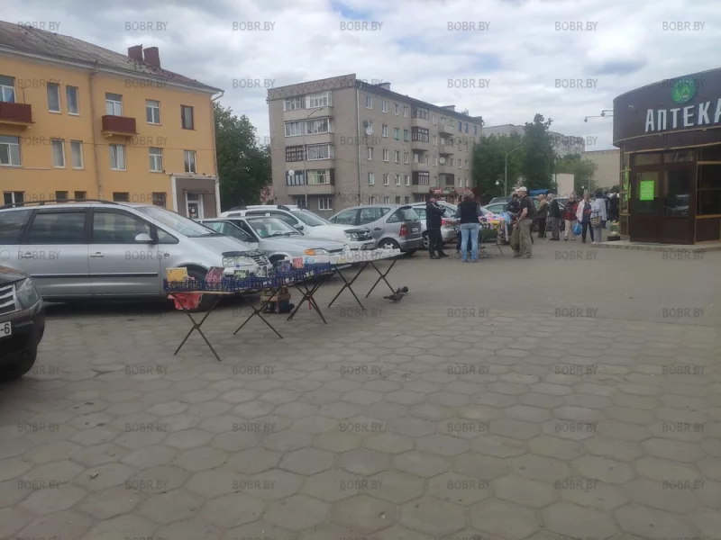 Нелегальная торговля на улице города