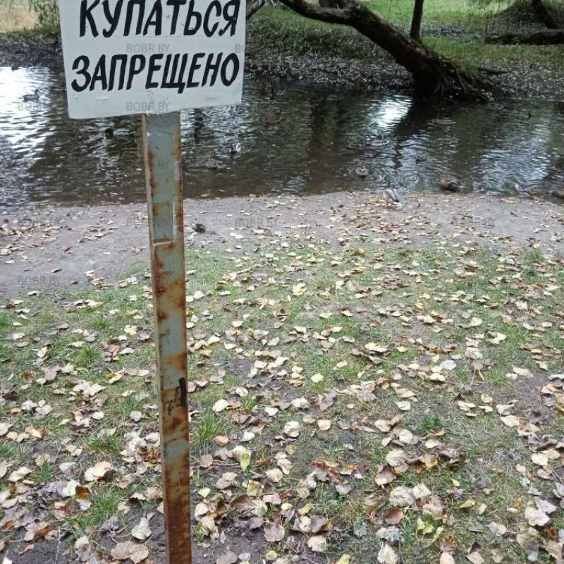 Не очень и хотелось... 