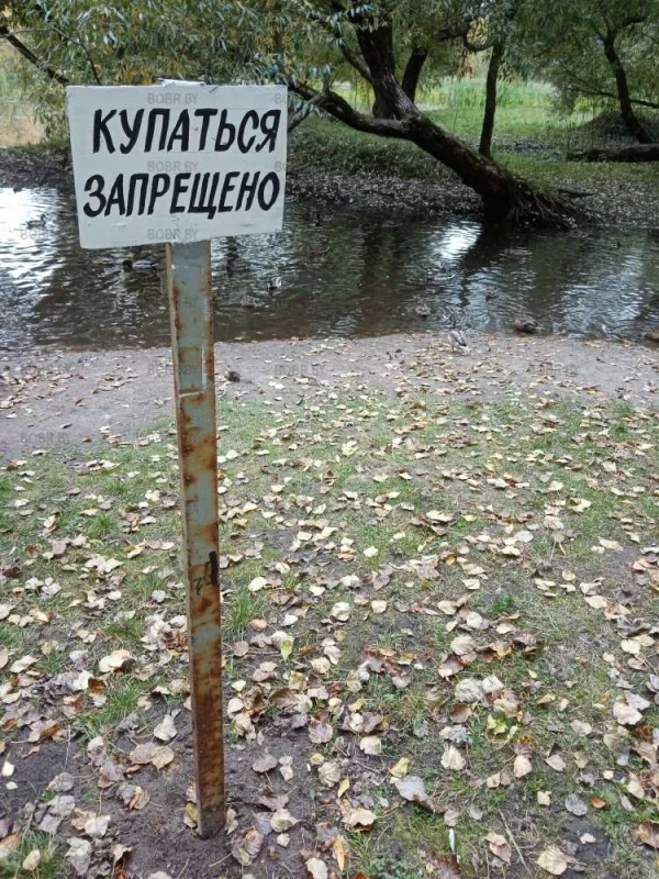 Не очень и хотелось... 