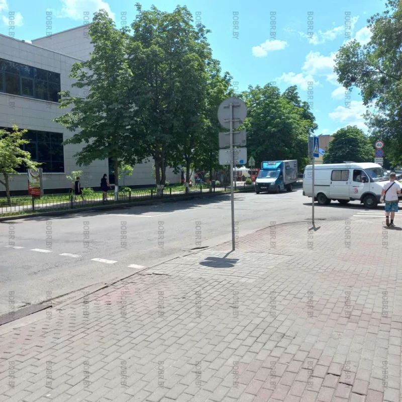 Деревьев в городе настолько много, что некоторые срезают и закладывают плиткой