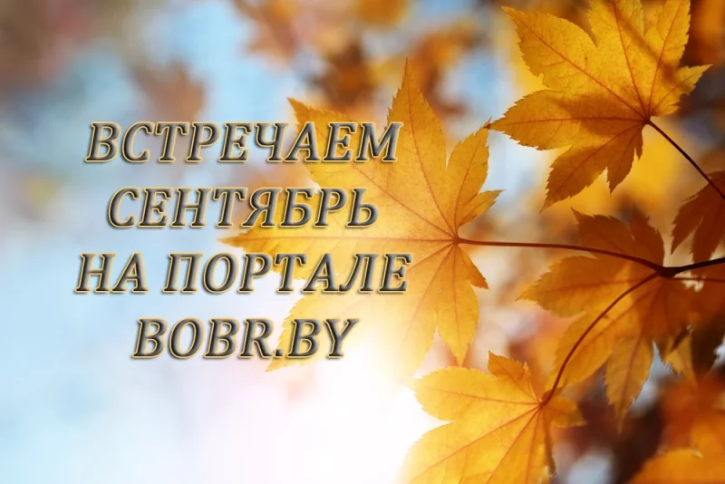 Специальные предложения для рекламодателей в сентябре