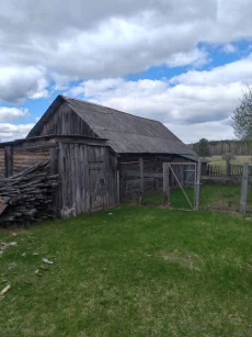 Добротный дом с хоз. постройками