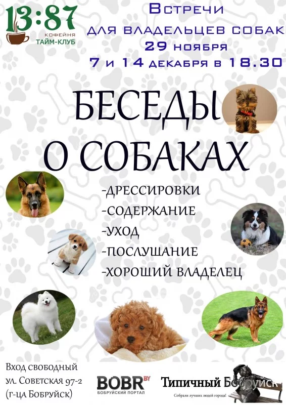 Обучающие беседы о собаках