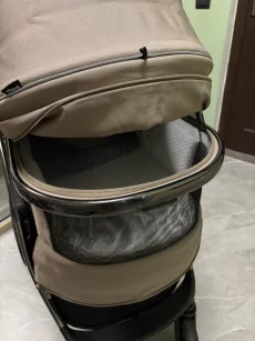 Коляску Pituso mayla 2в1