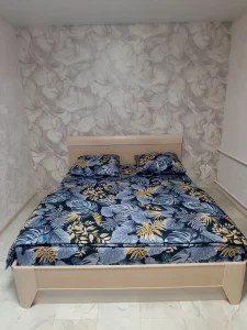 Квартира -студия в центре