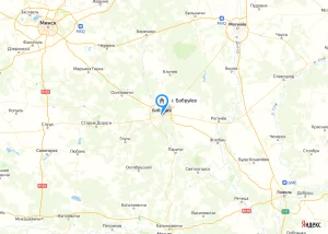 Повильонов на рынке Птичка. Бобруйск, ул. Дзержинского, 4