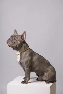 Ищем подружку