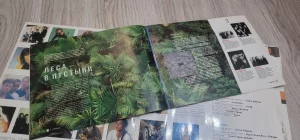 Виниловая пластинка GREENPEACE BREAKTHROUGH