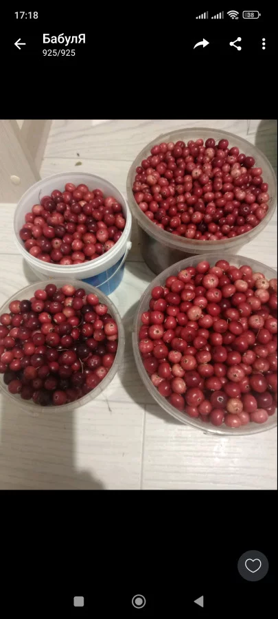 Клюкву