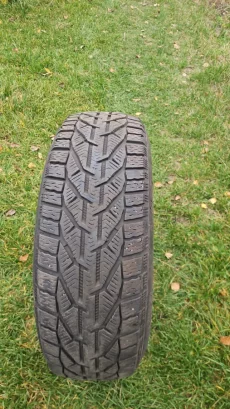 Шины зимние