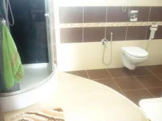 Коттедж в центре