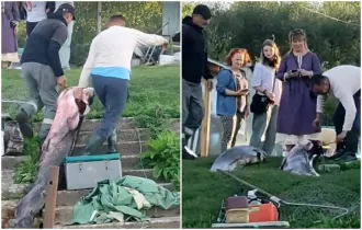 Двойная рыболовная удача на Березине в Бобруйске — и 174 тысячи просмотров в тиктоке