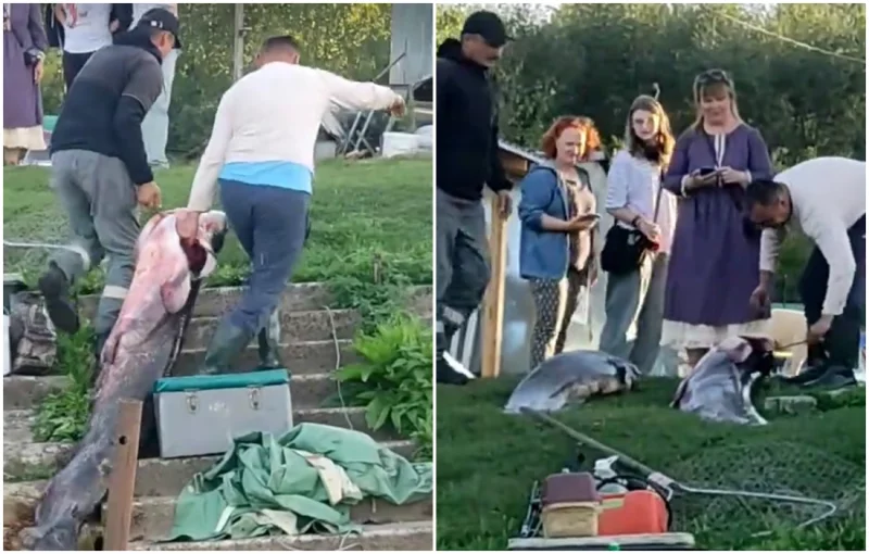 Двойная рыболовная удача на Березине в Бобруйске — и 174 тысячи просмотров в тиктоке