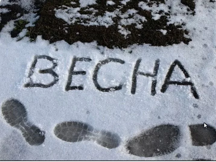 Доставайте шапки и куртки: зима вернется в выходные. С метелями и мокрым снегом