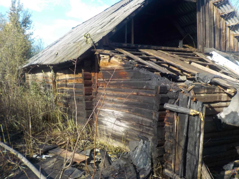 «Огонь идет в мою сторону. Срочно приезжайте!». Пожар в Бобруйском районе