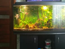 Аквариум 200л