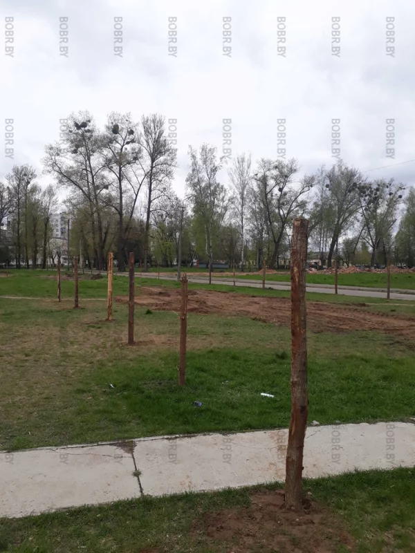 Очередной торговый центр строят?