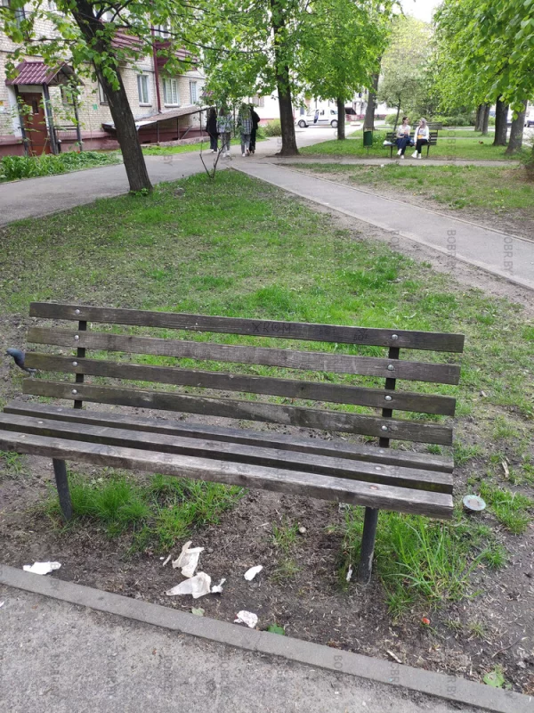 Культура бобруйчан, высочайший уровень.