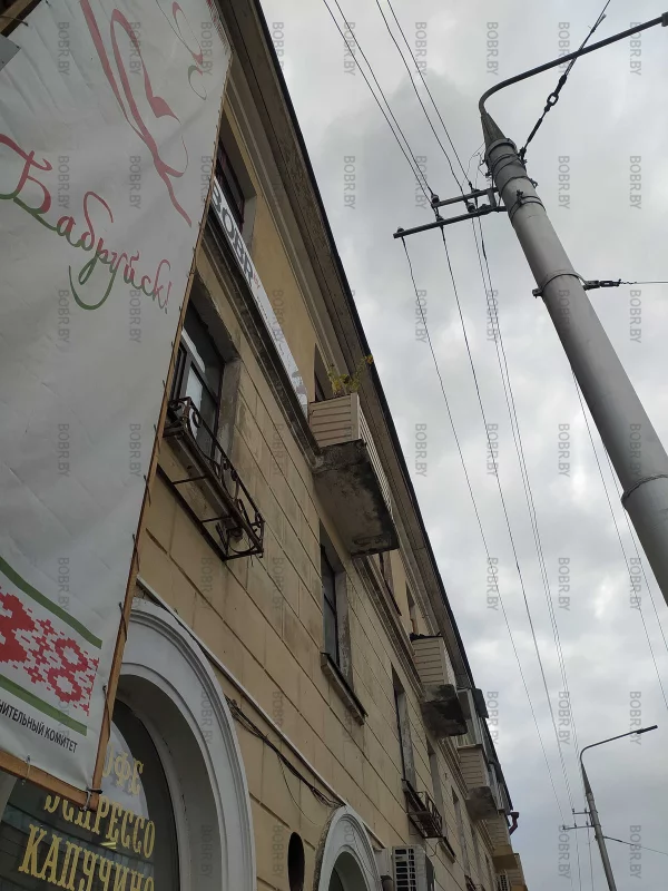 В центре Бобруйска растут подсолнухи! Как 