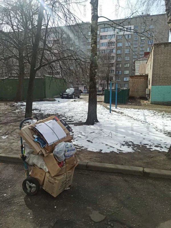 Люди вынуждены собирать мусор